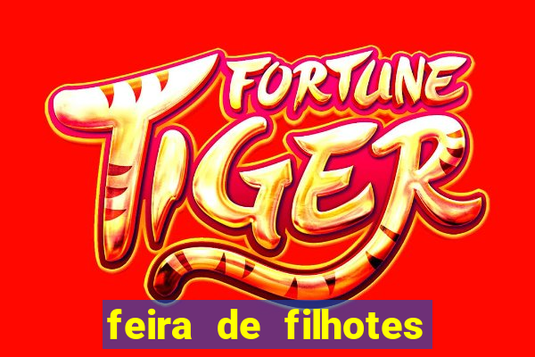 feira de filhotes porto alegre